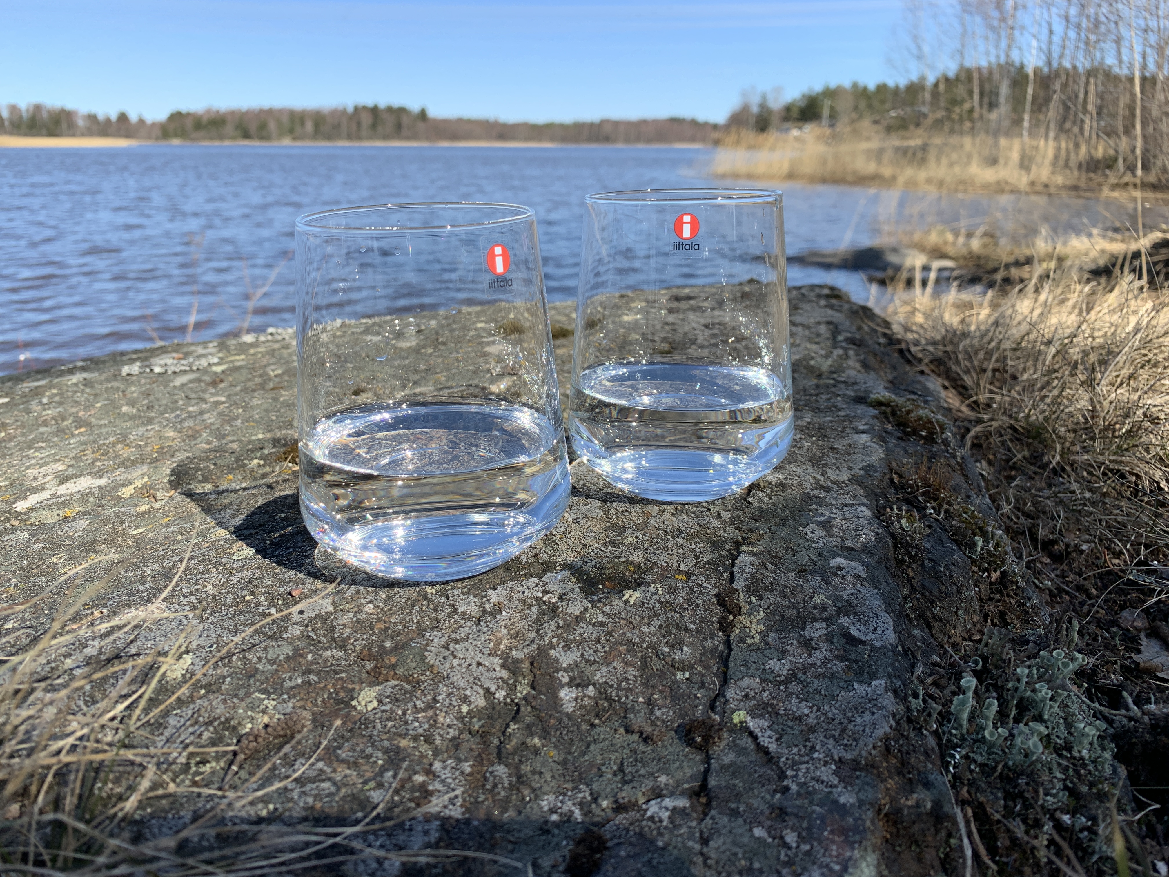 Puhdasta koivun mahlaa!