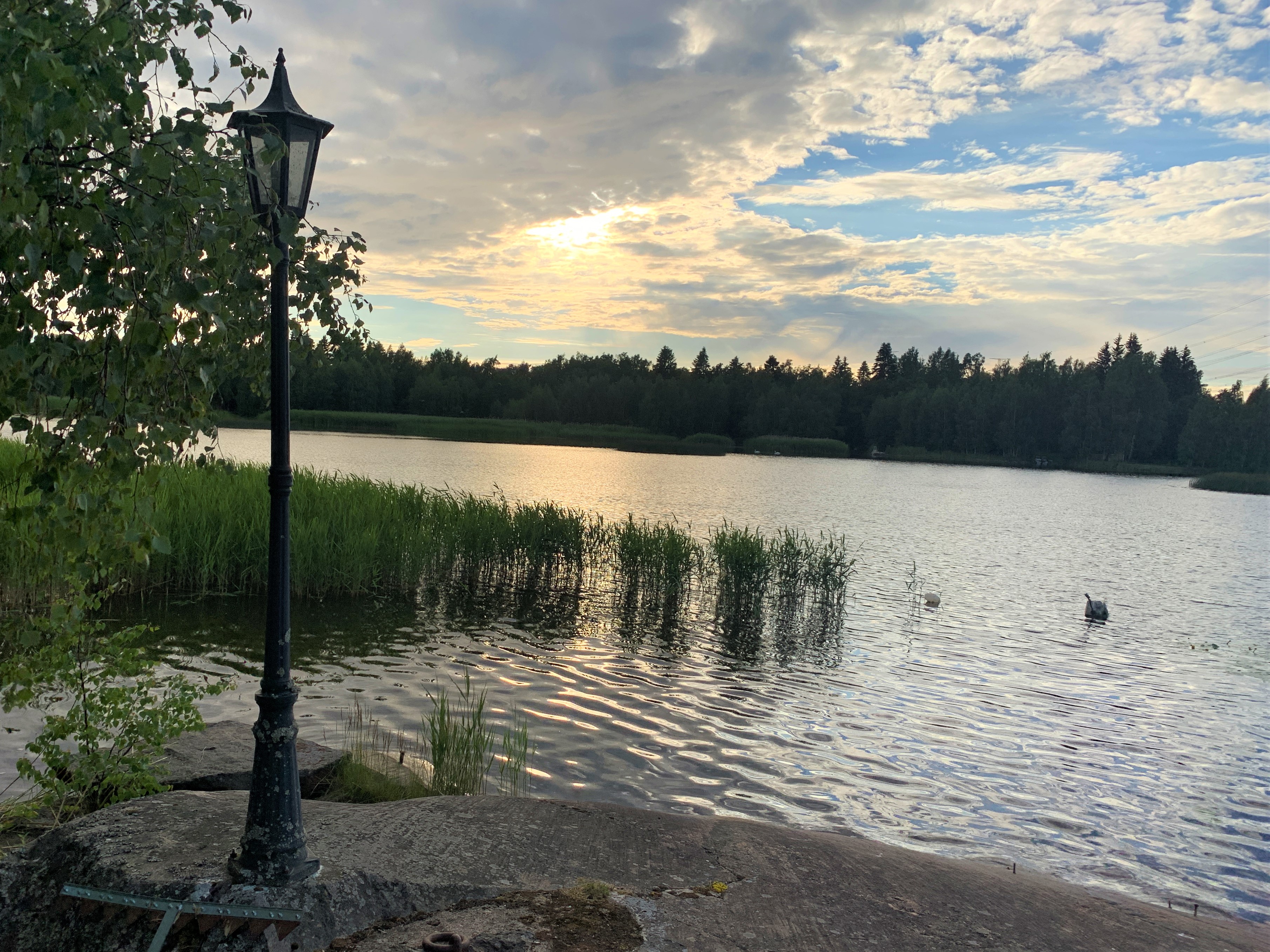 Hyvää Juhannusta!